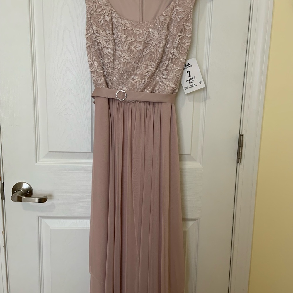 R&M Richards Lace Top Midi Dress in Blush